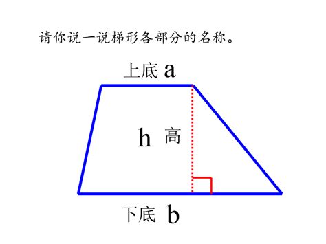 梯形的高怎麼算|面積